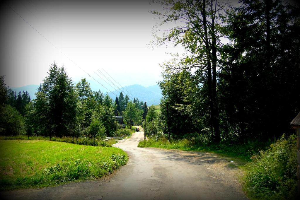 Willa Widokowa Zakopane Kültér fotó